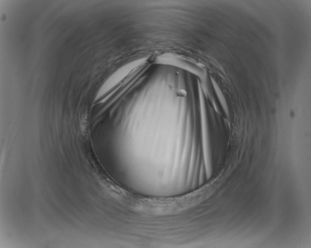 X0000081440033200702021728