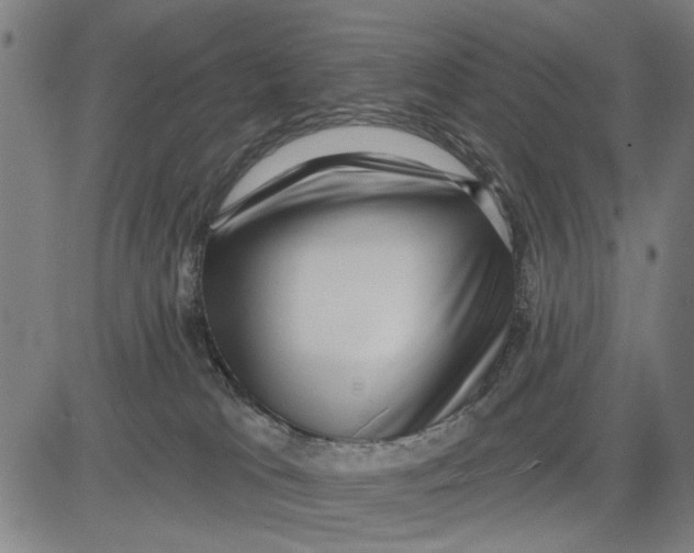 X0000081440037200702021728
