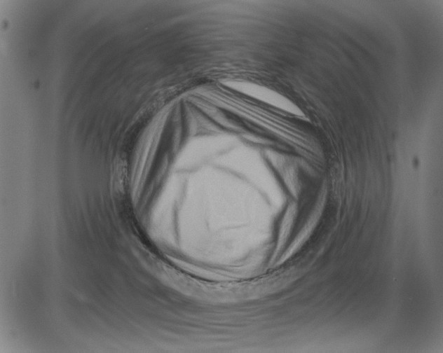 X0000081440038200702021728