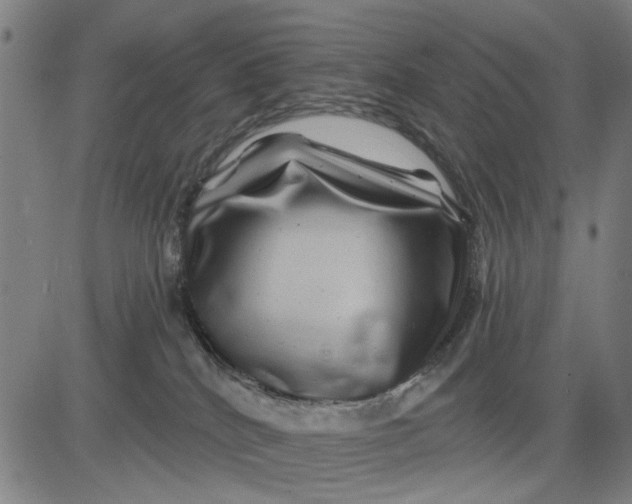 X0000081440040200702021728