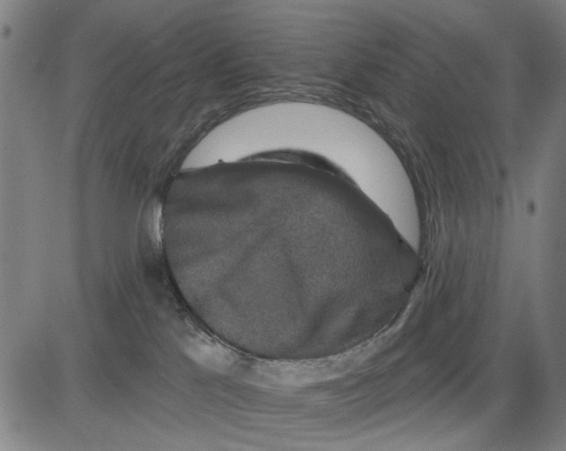 X0000081440041200702021728