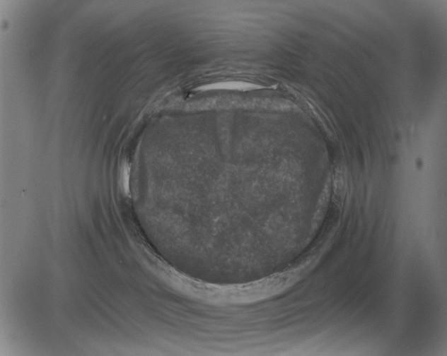 X0000081440046200702021728