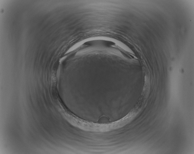 X0000081440048200702021728