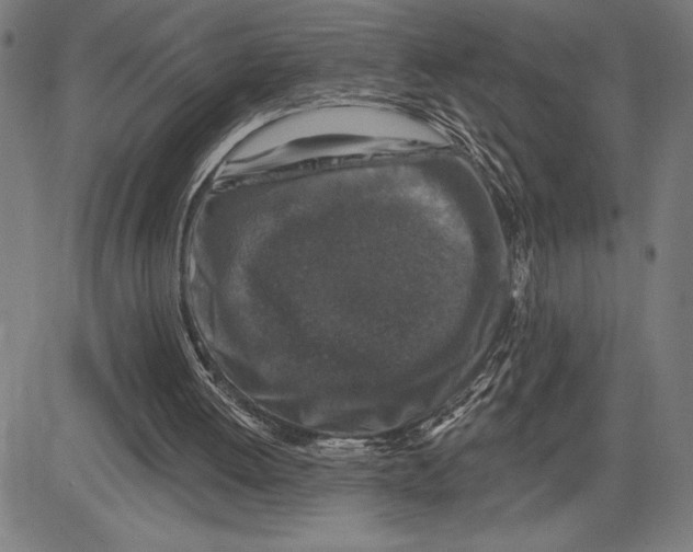 X0000081440052200702021727