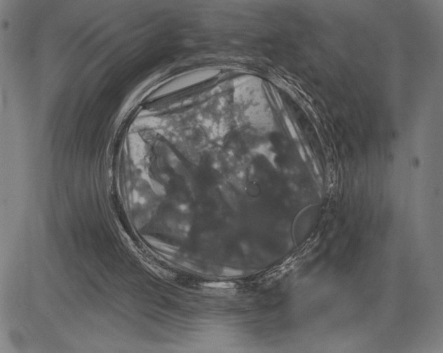 X0000081440053200702021727