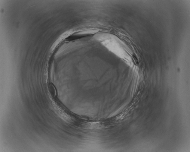 X0000081440054200702021727