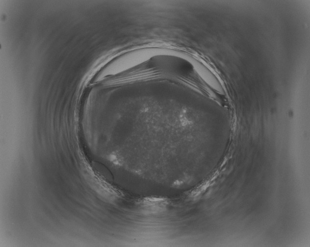 X0000081440055200702021727