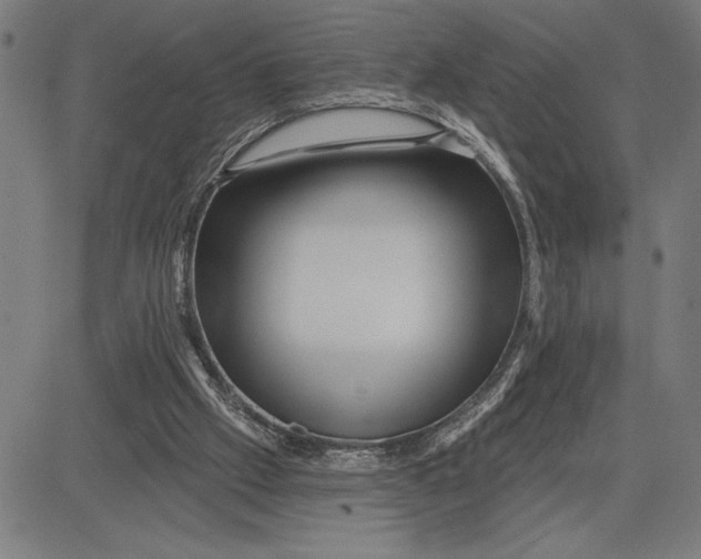 X0000081440057200702021727