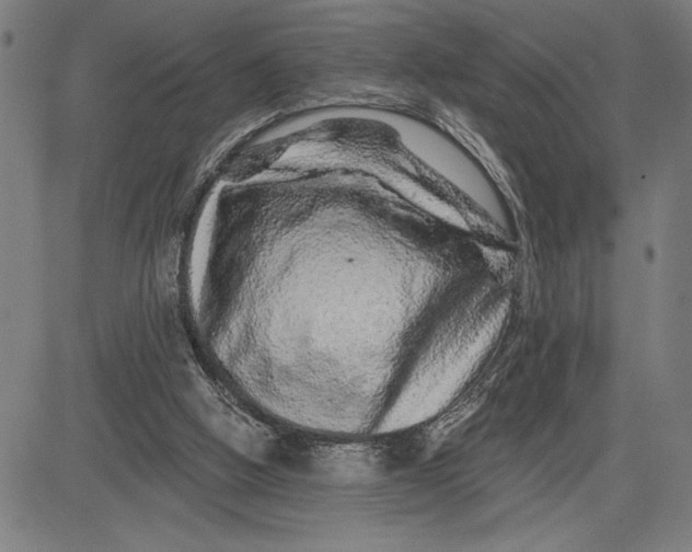 X0000081440058200702021727