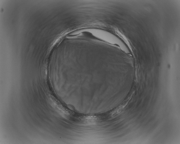 X0000081440059200702021727