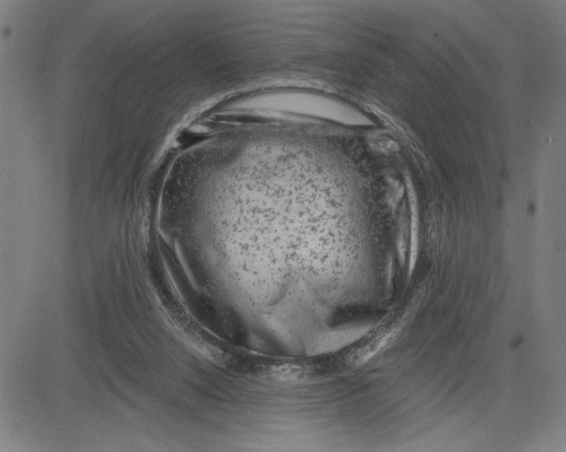 X0000081440064200702021727