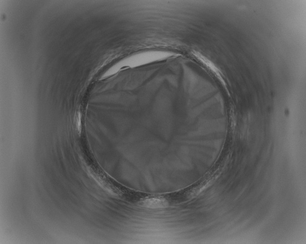 X0000081440067200702021728
