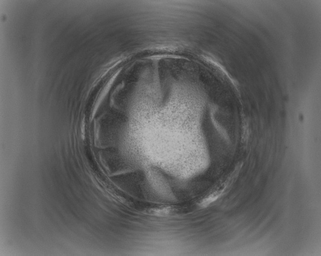 X0000081440068200702021728