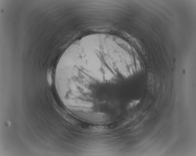 X0000081440069200702021728