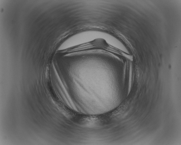 X0000081440071200702021728