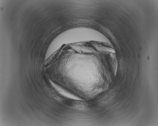 X0000081440073200702021728