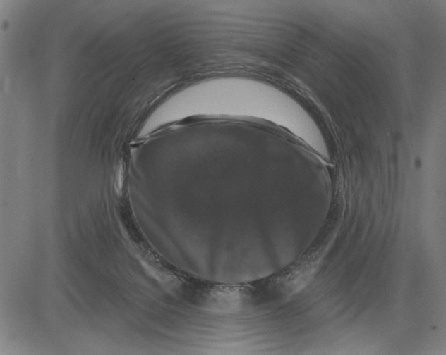 X0000081440076200702021728