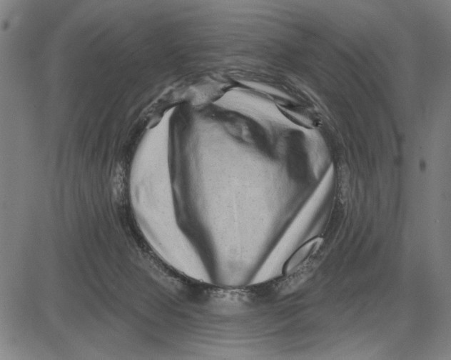 X0000081440077200702021728