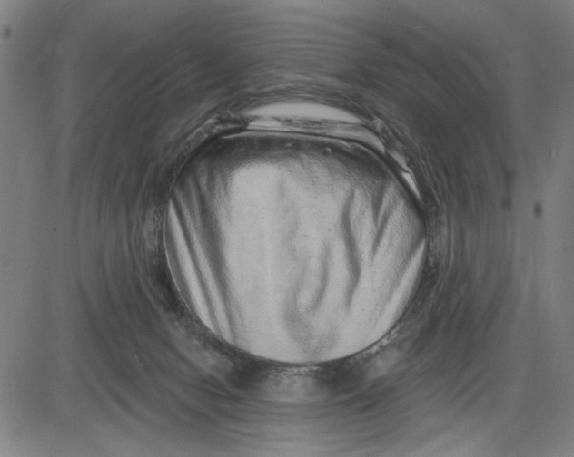 X0000081440078200702021728