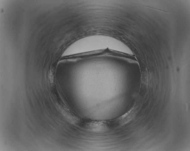 X0000081440086200702021728