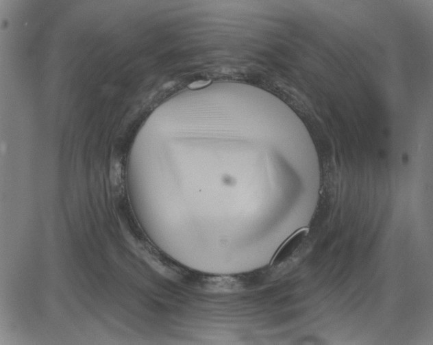 X0000081440087200702021728