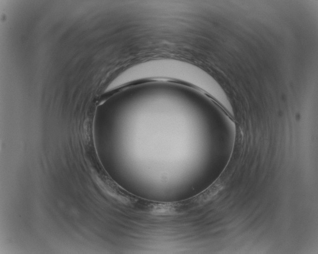 X0000081440088200702021728