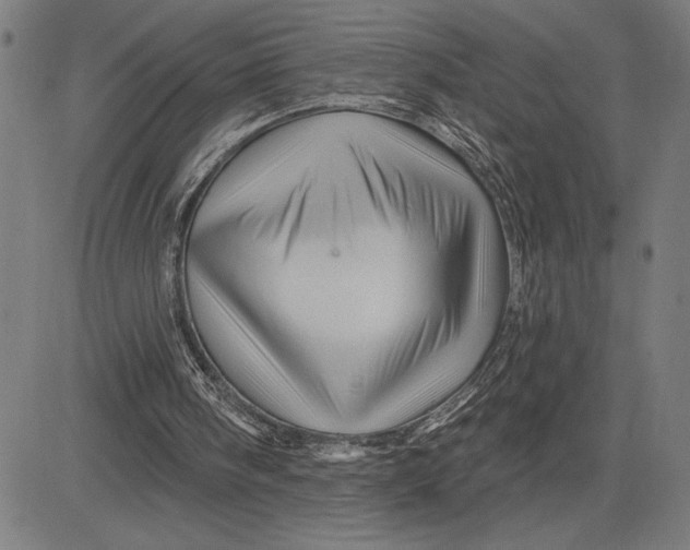 X0000081440098200702021727
