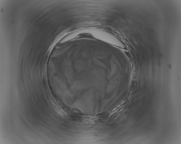 X0000081440099200702021727