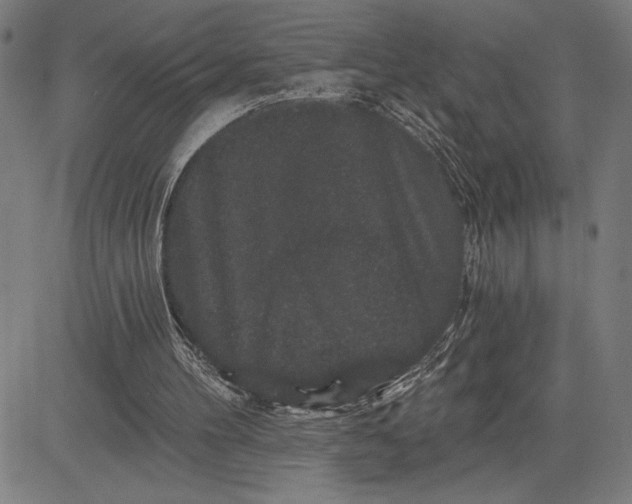 X0000081440100200702021727