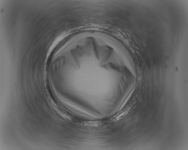 X0000081440102200702021727