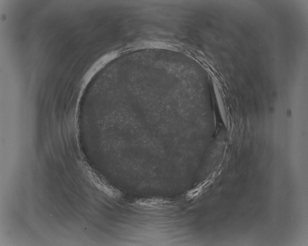 X0000081440104200702021727