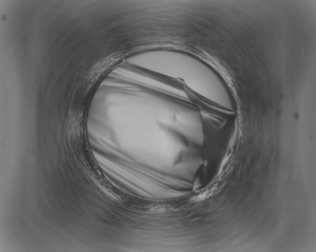 X0000081440105200702021727