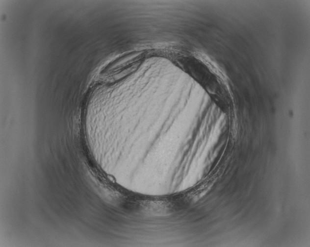 X0000081440107200702021727