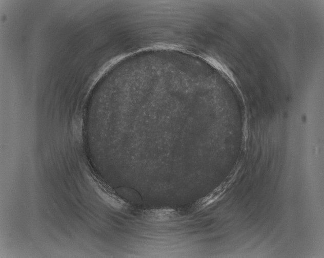 X0000081440108200702021727