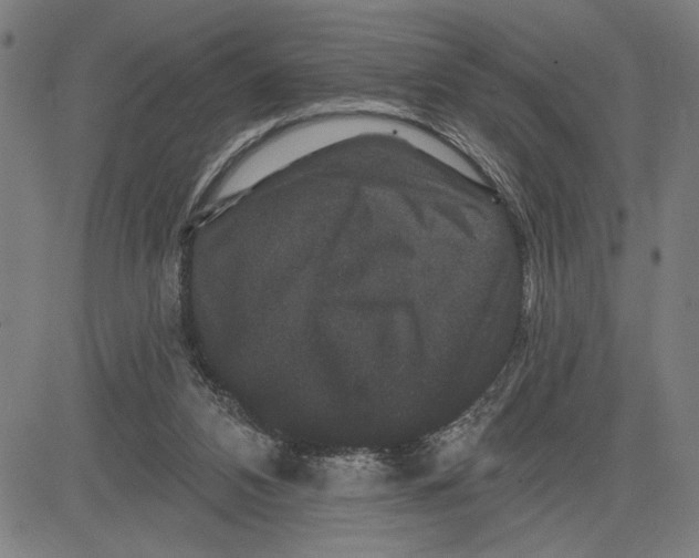 X0000081440112200702021727