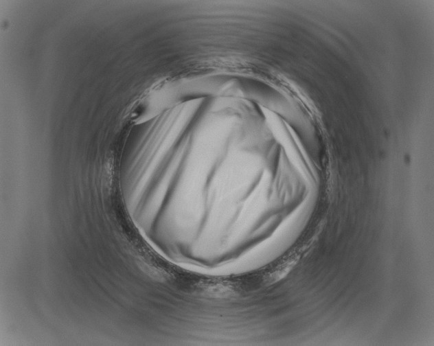 X0000081440113200702021727