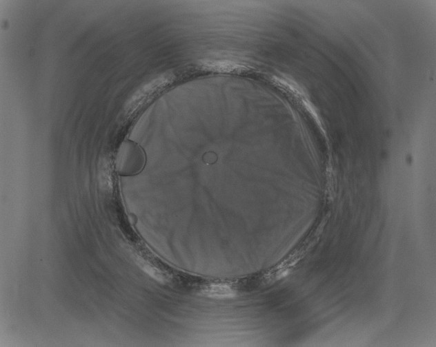 X0000081440114200702021727