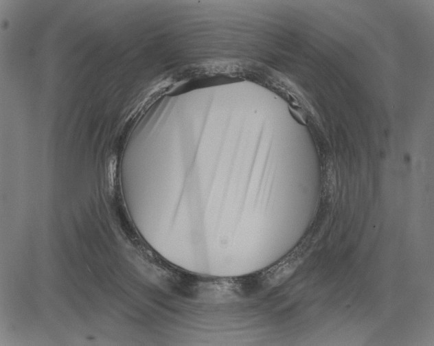 X0000081440118200702021727