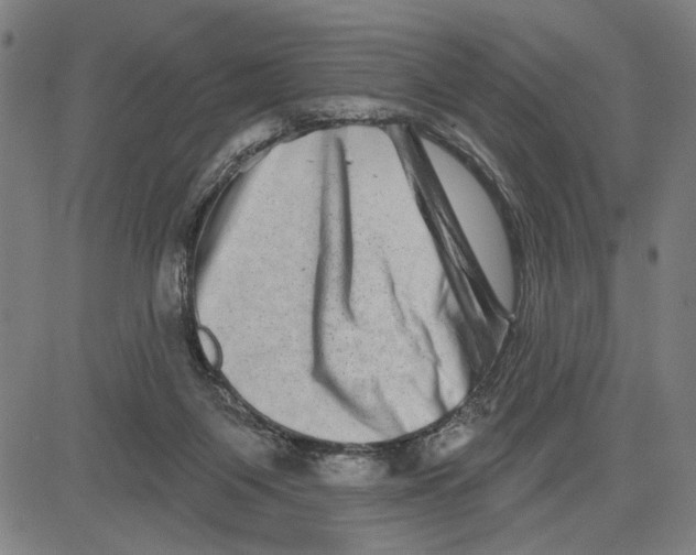 X0000081440119200702021727
