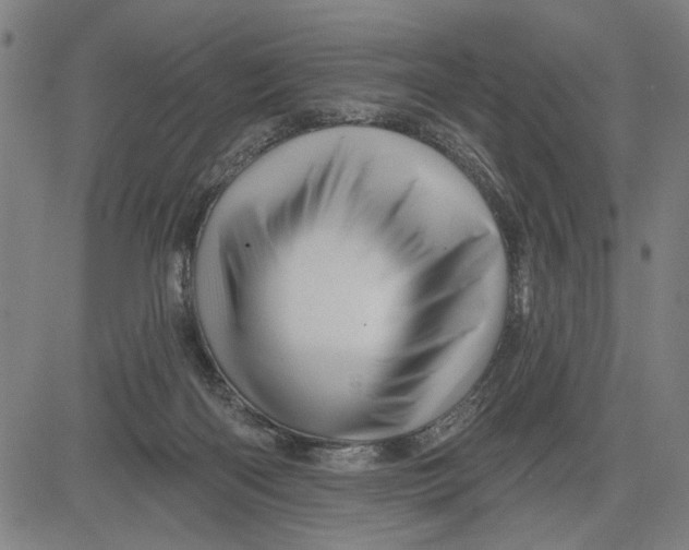 X0000081440122200702021727