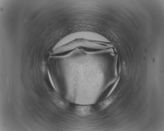 X0000081440135200702021727