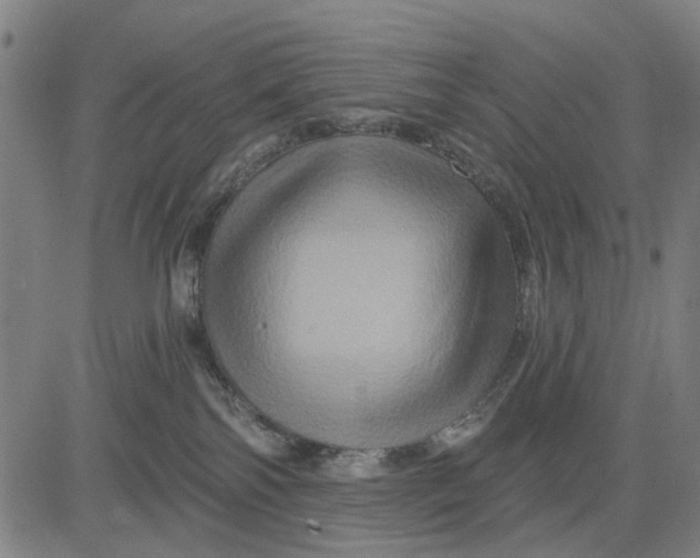 X0000081440138200702021727