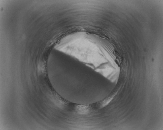 X0000081440139200702021727
