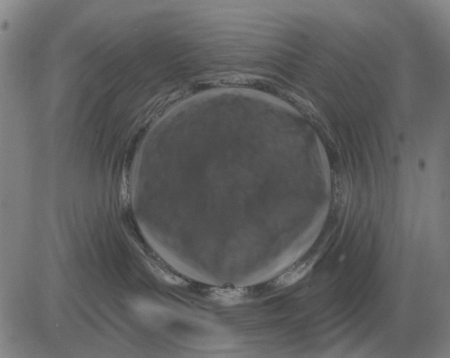 X0000081440143200702021726