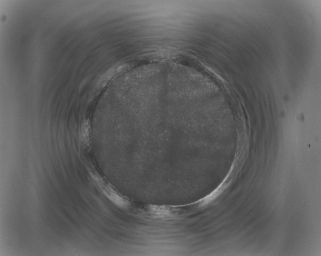 X0000081440144200702021726