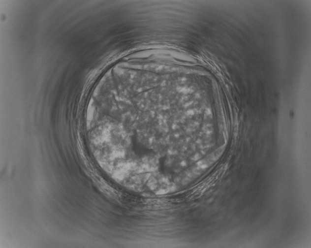 X0000081440145200702021726