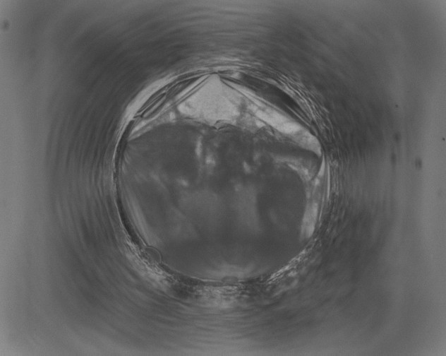 X0000081440147200702021726
