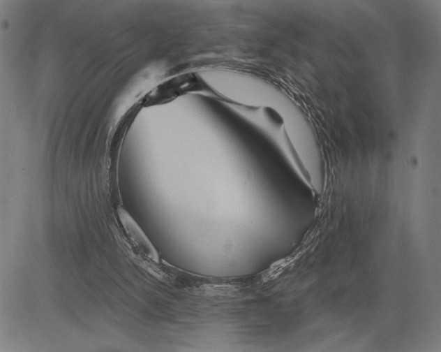 X0000081440150200702021726