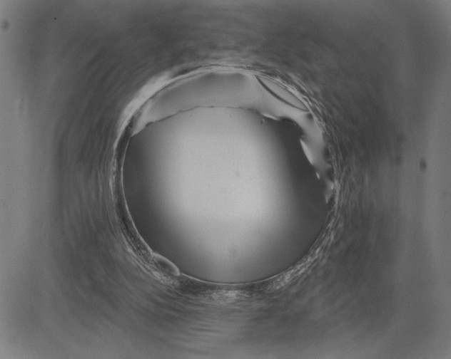 X0000081440152200702021726