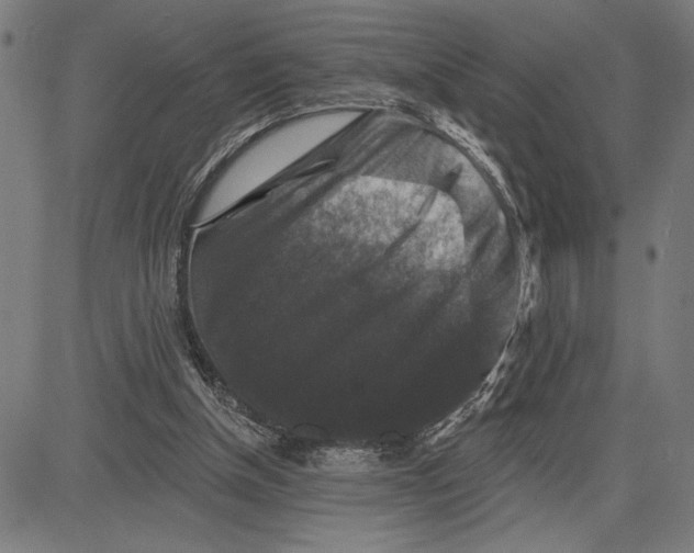 X0000081440154200702021726